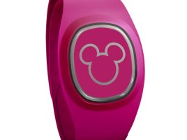 MagicBand+ Dark Pink can now be purchased online