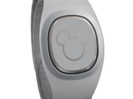 MagicBand+ Gray available online