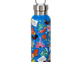 Play in the Park Stainless Steel Water Bottle with Clip – Walt Disney World now available for purchase