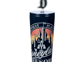 Disneyland Stainless Steel Tumbler with Straw is now available for purchase