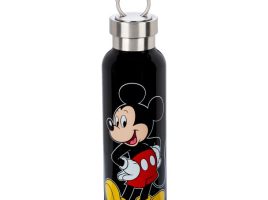 Mickey Mouse Stainless Steel Water Bottle with Clip here now