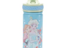 Frozen Stainless Steel Water Bottle with Built-In Straw is now out