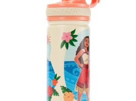 Moana and Simea 14oz. Stainless Steel Water Bottle with Built-In Straw – Moana 2 – Purchase Online Now