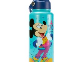 Mickey Mouse and Friends Stainless Steel Water Bottle – Disneyland 70th Anniversary – Buy It Today!