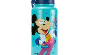 Mickey Mouse and Friends Stainless Steel Water Bottle – Disneyland 70th Anniversary – Buy It Today!