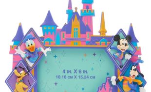 Mickey Mouse and Friends Photo Frame – Disneyland 70th Anniversary – 4” x 6” – Buy Now
