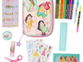 Disney Princess Zip-Up Stationery Kit – Buy Now