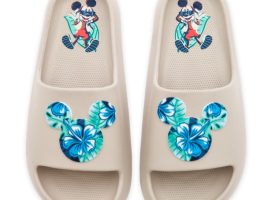 Mickey Mouse Slides for Adults – Buy Now