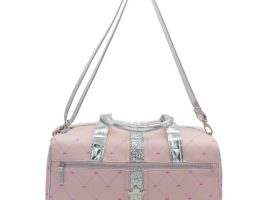 Disney Princess Ballet Bag is now available online