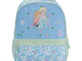 Frozen Backpack is available online for purchase