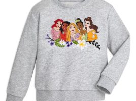 Disney Princess Pullover Sweatshirt for Kids – Buy It Today!