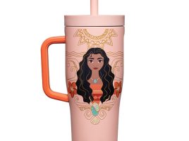 Moana Stainless Steel Cruiser Cup with Straw by Corkcicle – Disney Princess is now available for purchase