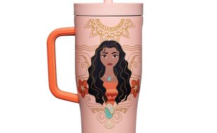 Moana Stainless Steel Cruiser Cup with Straw by Corkcicle – Disney Princess is now available for purchase