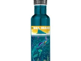 Luca: Alberto & Luca Swim by Isola Del Mare Stainless Steel Water Bottle – Customized | Disney Store is here now