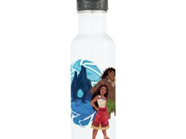 Moana & Maui Adventures in Oceania Stainless Steel Water Bottle – Moana – Customizable | Disney Store was released today