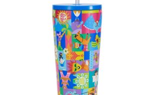 Disney it’s a small world 22 oz. Stainless Steel Tumbler with Straw – Buy Now