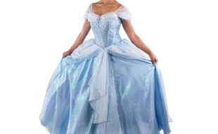 Cinderella Cosplay Costume for Adults by A Leading Role is now out
