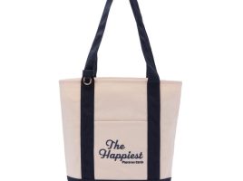 Disneyland Canvas Mini Tote Bag now available for purchase