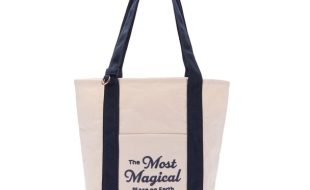 Walt Disney World Canvas Mini Tote Bag is now available online