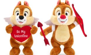 Chip ‘n Dale Valentine’s Day Plush Set – 9” available online for purchase
