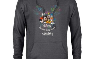 Mickey Mouse and Friends Fireworks ”Disney Family Trip 2026” Pullover Hoodie for Adults – Customized | Disney Store – Get It Here