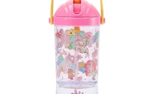 Disney Princess Snow Globe Water Bottle for Kids – Buy Online Now