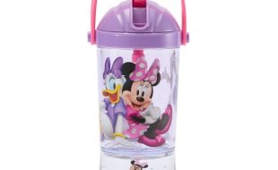Minnie Mouse and Friends Snow Globe Water Bottle for Kids – Buy Online Now