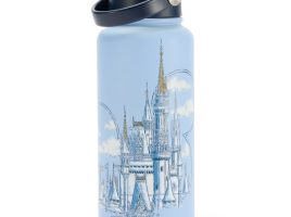 Walt Disney World 32 oz. Stainless Steel Water Bottle now available