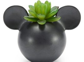 Mickey Mouse Icon Faux Succulent Ceramic Holder is available online for purchase