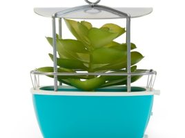 Disney Parks Vintage Maps Skyway Gondola Faux Succulent Holder is now available for purchase