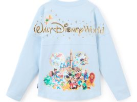 Walt Disney World Storybook Spirit Jersey for Kids – Buy Online Now