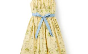 Winnie the Pooh Dress for Women is available online for purchase