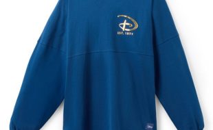 Walt Disney World Storybook Spirit Jersey for Adults now out for purchase