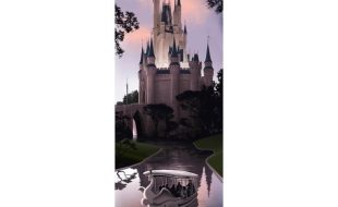 ”Walt Disney World Icons Magic Kingdom” Gallery Wrapped Canvas by JC Richard – Signed Limited Edition – Buy Now