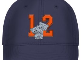 Brave Baseball Cap for Adults released today