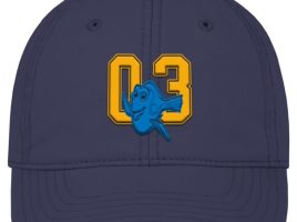 Dory Baseball Cap for Adults – Finding Nemo – Buy Now
