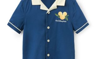 Mickey and Minnie Mouse Fruit Stand Button Down Shirt for Kids – Walt Disney World now available online