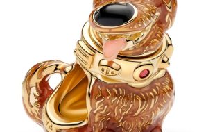 Dug Charm by Pandora – Up – Purchase Online Now