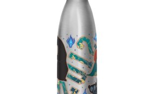 Brave Stainless Steel Water Bottle available online for purchase