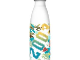 Finding Nemo Stainless Steel Water Bottle – Buy Now