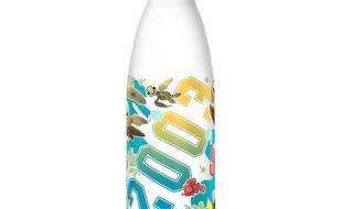 Finding Nemo Stainless Steel Water Bottle – Buy Now