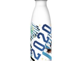Soul Stainless Steel Water Bottle – Buy Online Now