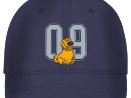 Dug Baseball Cap for Adults – Up is now out