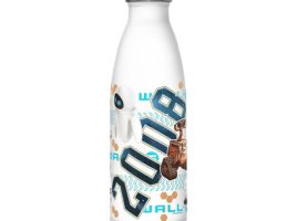 WALL•E Stainless Steel Water Bottle is available online for purchase
