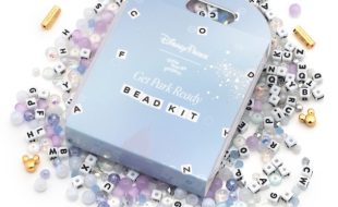 Get Park Ready Bead Kit by Little Words Project – Buy Online Now