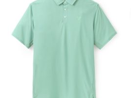 Mickey Mouse Icon Performance Dri-FIT Polo Shirt for Men by Nike – Mint Green is now available online