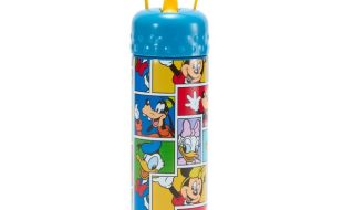 Mickey Mouse and Friends 16 oz. Stainless Steel Water Bottle with Built-In Straw is now out for purchase