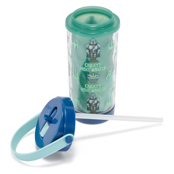 The Mandalorian and Grogu Water Bottle with Built-In Straw - Star Wars
