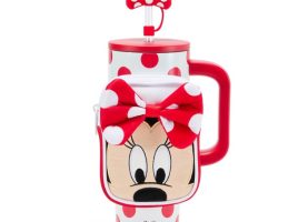 Minnie Mouse 30 oz. Stainless Steel Travel Tumbler with Straw plus Zip Case