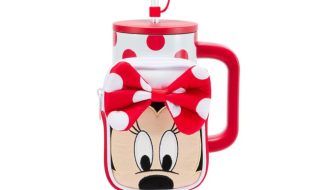 Minnie Mouse 30 oz. Stainless Steel Travel Tumbler with Straw plus Zip Case